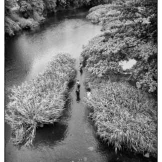 La photo. "Rivière des roches"