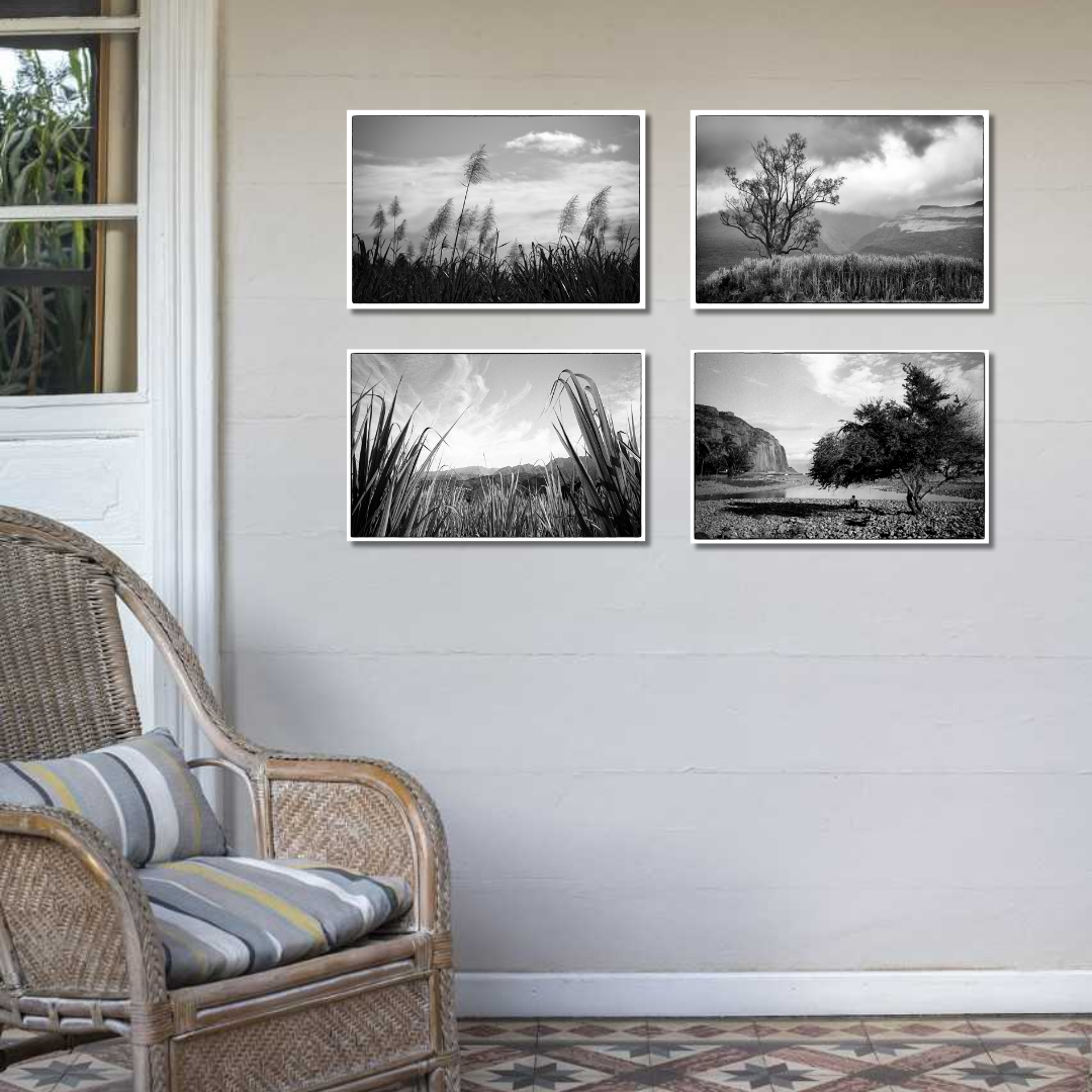 La photo. "Plein Est" – Image 2