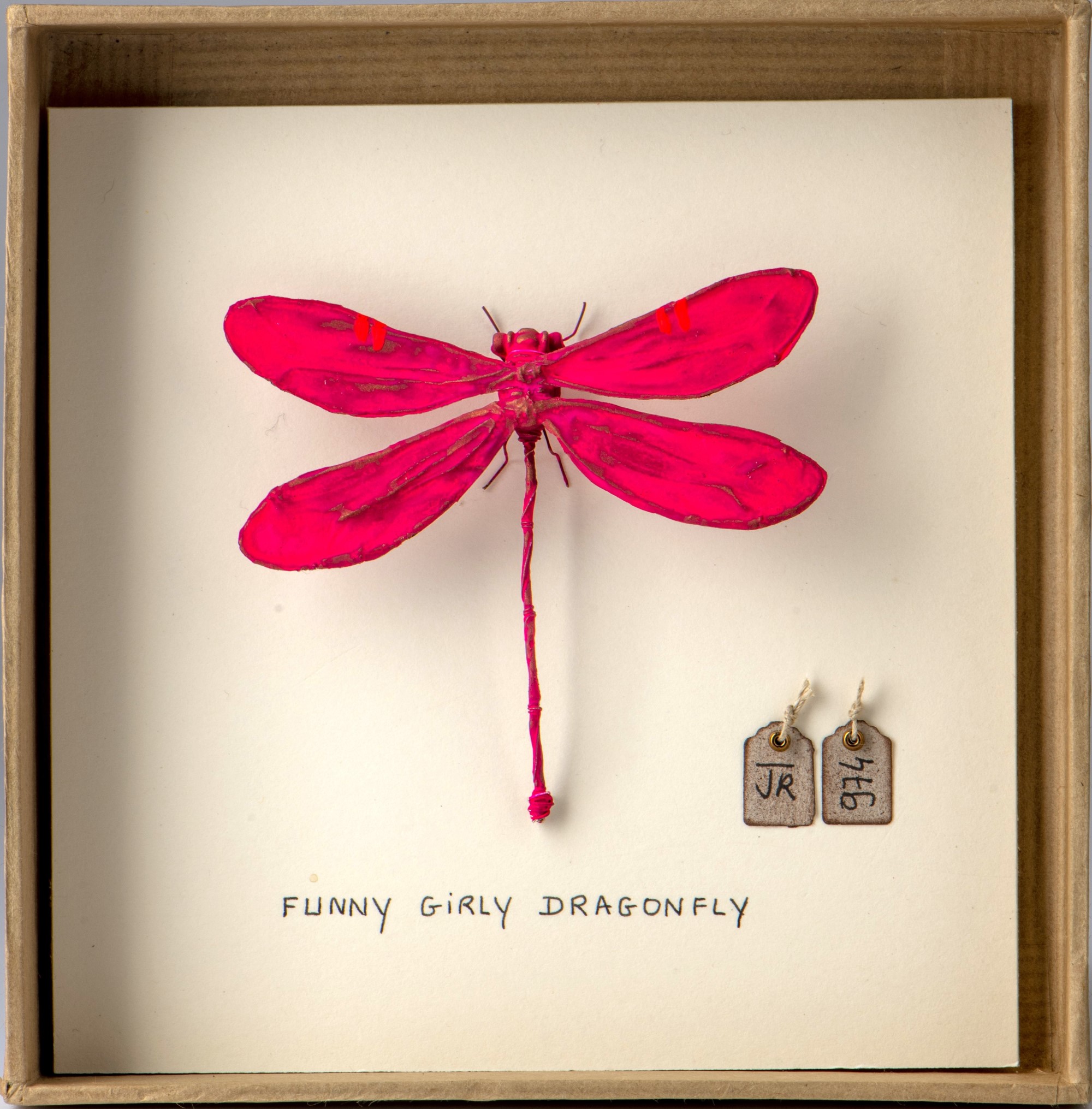 La boîte à insectes. "Funny Girly Dragonfly"