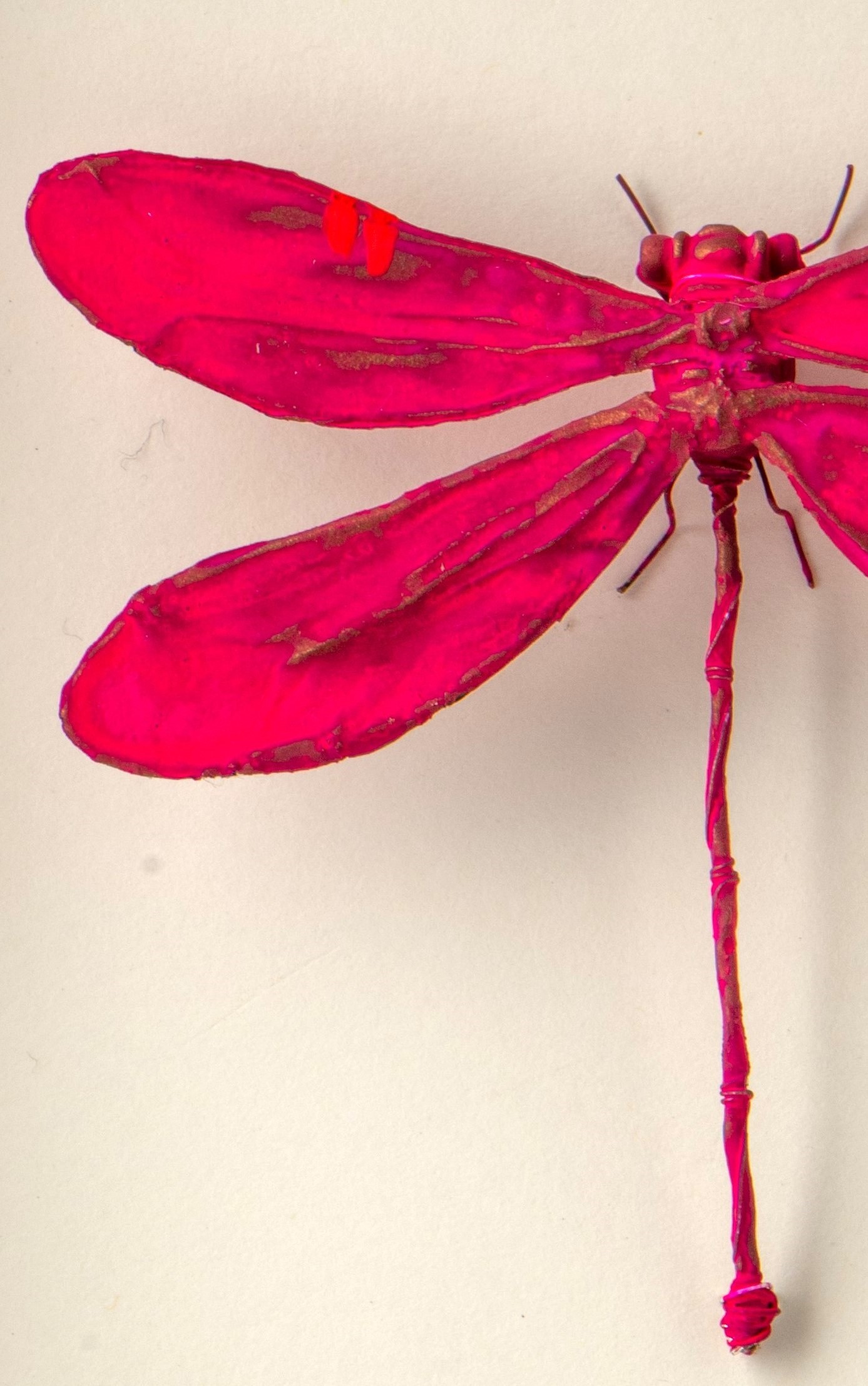 La boîte à insectes. "Funny Girly Dragonfly" – Image 4