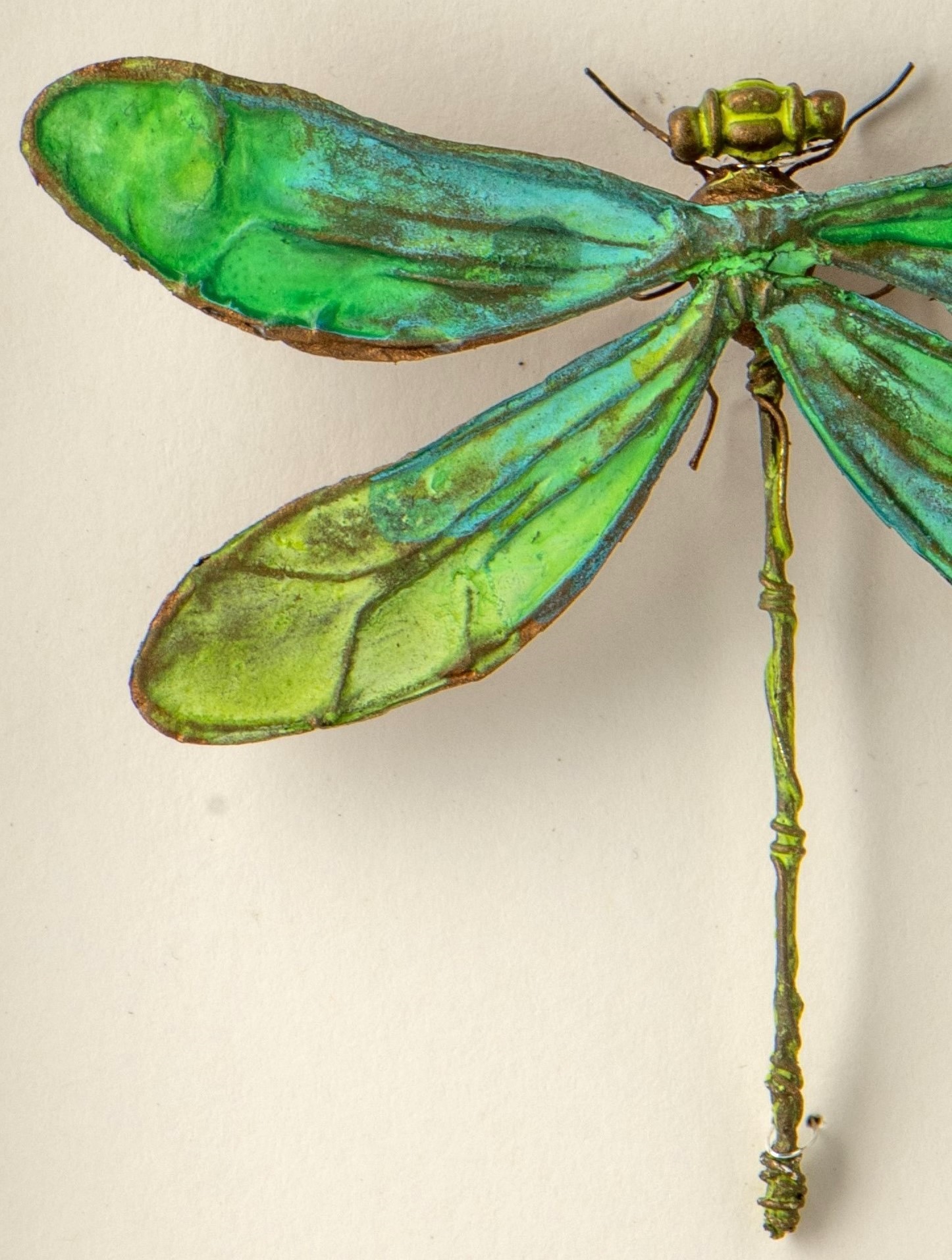 La boîte à insectes. "Demoiselle de l'étang" – Image 4