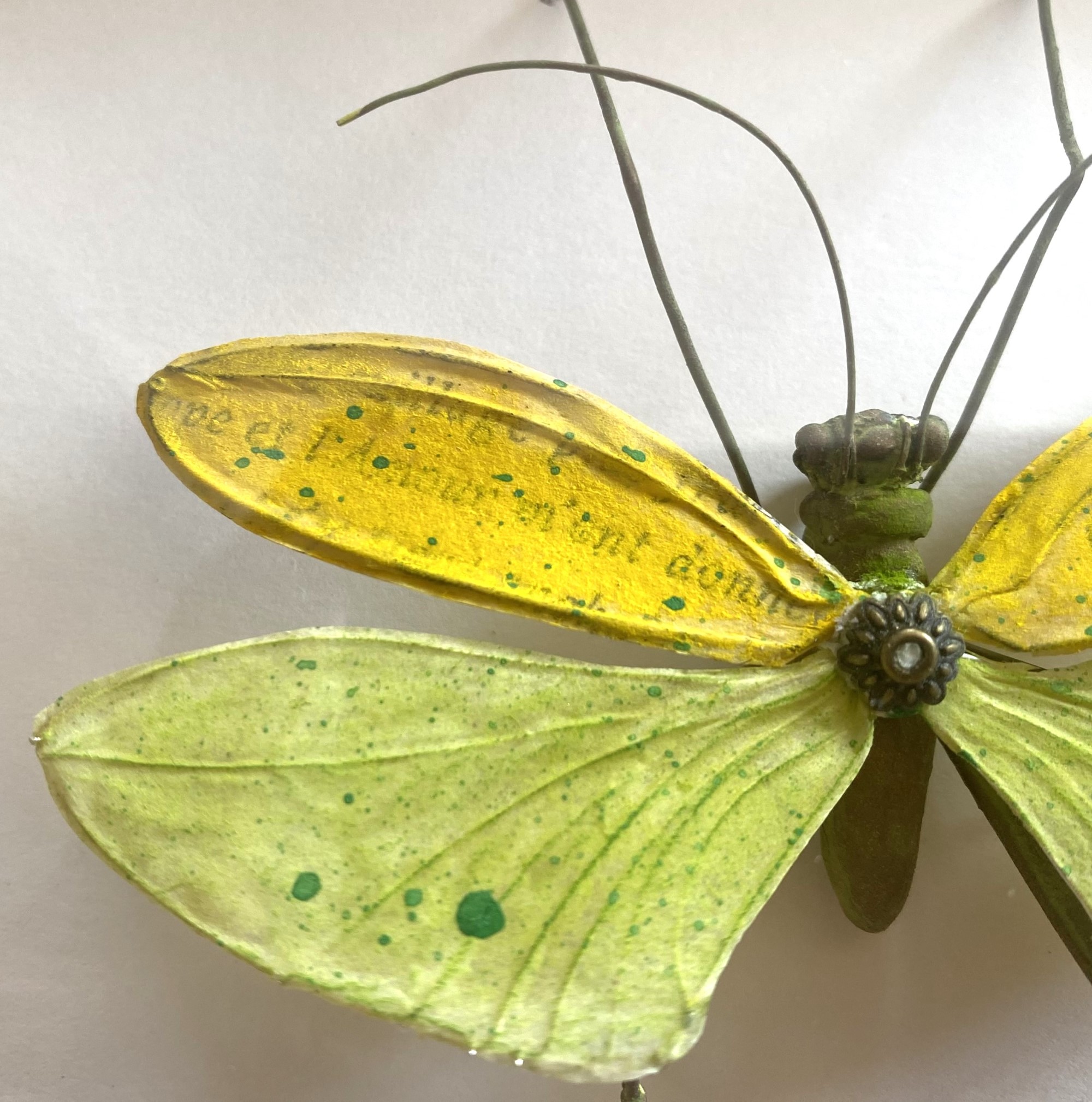 La boîte à insectes. "Sauterelle fleur - ylang-ylang" – Image 4