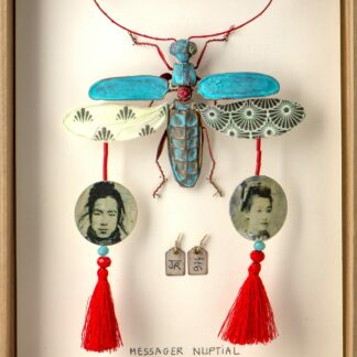 La boîte à insectes. "Messager nuptial"