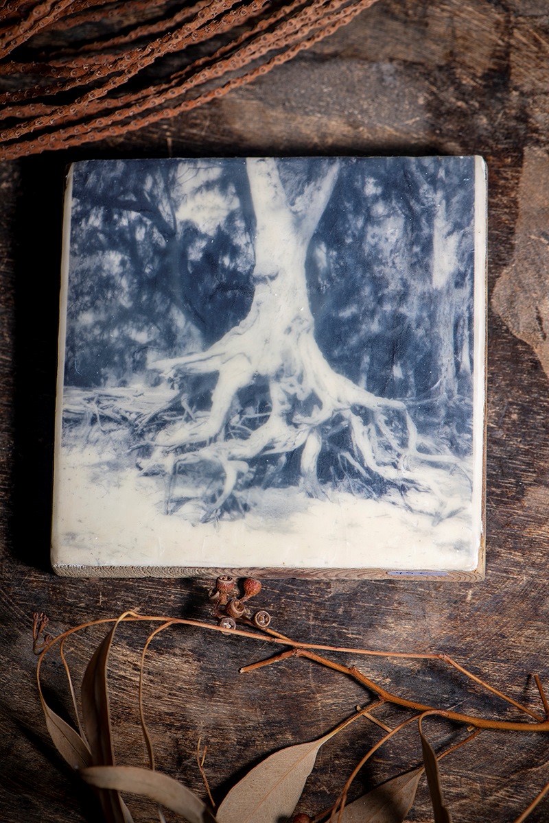 L'encaustique sur bois. "Filao"