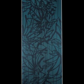 La toile. "Zoizos noirs #1"