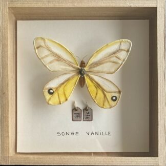 La boîte à insectes. "Songe Vanille"