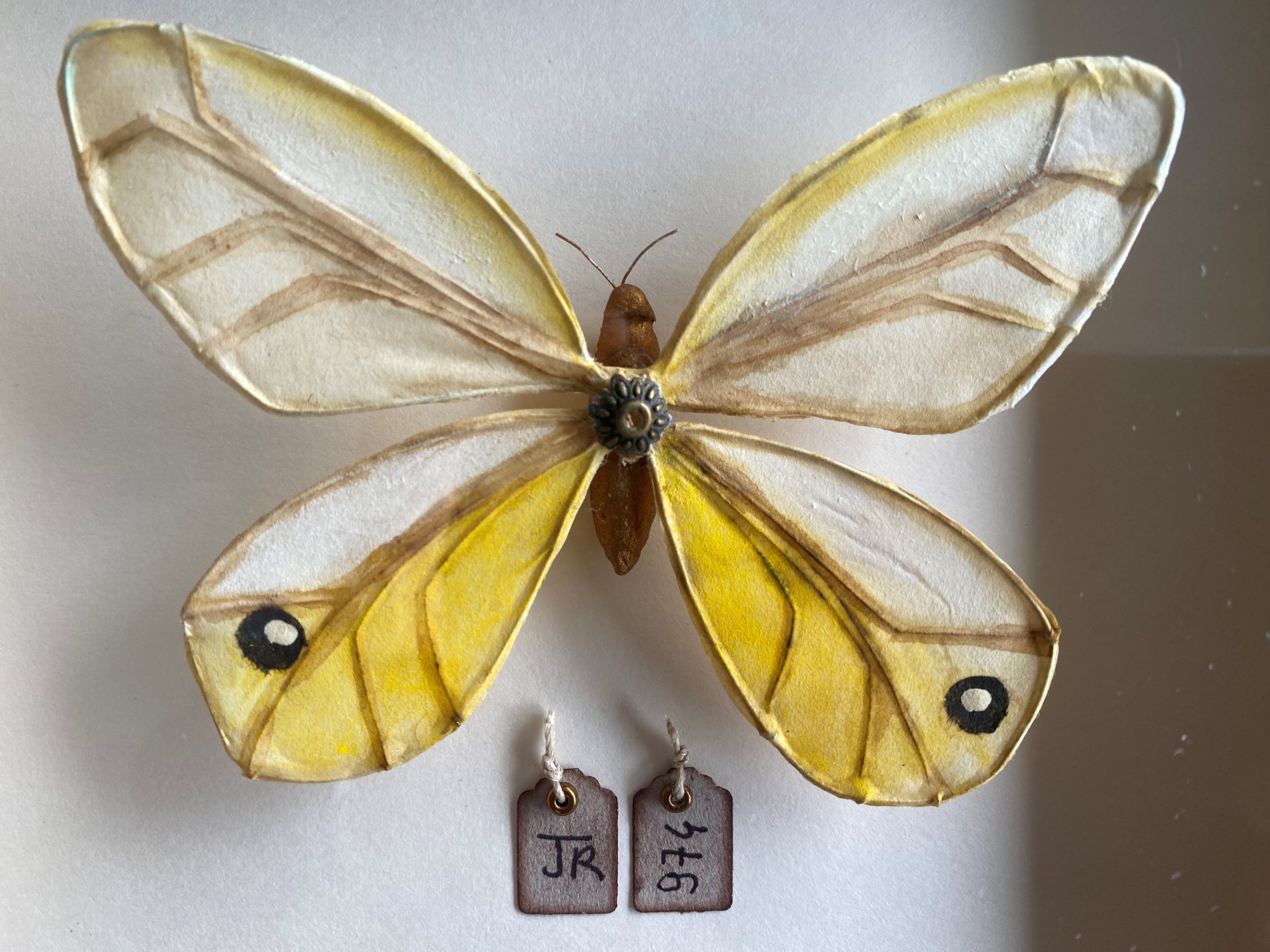 La boîte à insectes. "Songe Vanille" – Image 2
