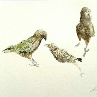 L'aquarelle. "Kéas"