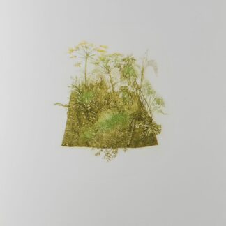 La gravure à l'eau forte. L'estampe "Jardin Ressource"