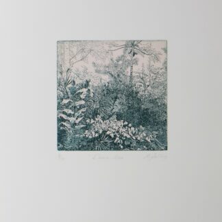 La gravure à l'eau forte. L'estampe "L'heure rose"